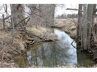 Property photo 1 - REAL ESTATE & LAND AUCTION, 156.94+/- Acres offered in 6 Tracts