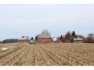 Property photo 5 - REAL ESTATE & LAND AUCTION, 156.94+/- Acres offered in 6 Tracts