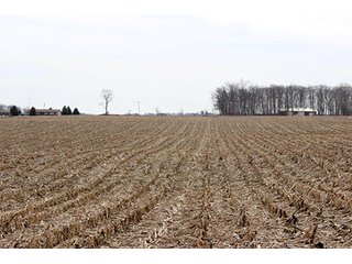 Property photo 2 - REAL ESTATE & LAND AUCTION, 156.94+/- Acres offered in 6 Tracts