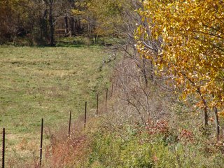 Property photo 11 - REAL ESTATE & LAND AUCTION, 63.59+/- Acres Tillable & Productive Land