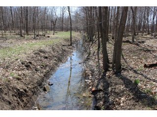 Property photo 6 - REAL ESTATE & LAND AUCTION, 63.59+/- Acres Tillable & Productive Land