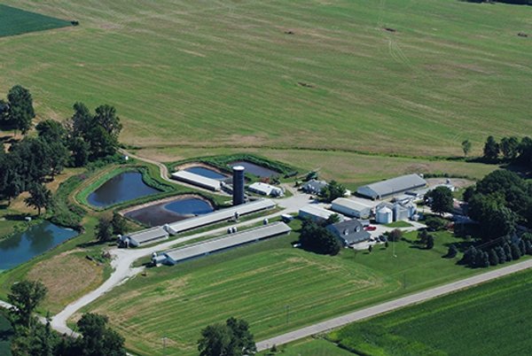 REAL ESTATE AUCTION, 60 +/- Acres offered in 3 Tracts Swine Operation