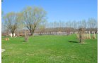 Property photo 32 - REAL ESTATE AUCTION! Grand Historic All Brick Home on 2.45 Acres!