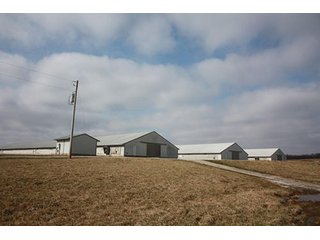Tract 1 - REAL ESTATE, LAND & EQUIPMENT AUCTION, ABSOLUTE 204+/- Acres Turkey Operation