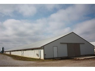 Tract 1 - REAL ESTATE, LAND & EQUIPMENT AUCTION, ABSOLUTE 204+/- Acres Turkey Operation