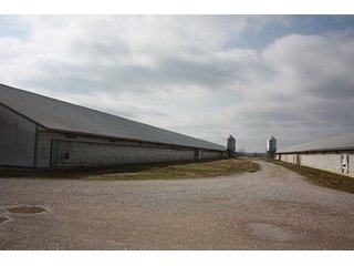 Tract 1 - REAL ESTATE, LAND & EQUIPMENT AUCTION, ABSOLUTE 204+/- Acres Turkey Operation