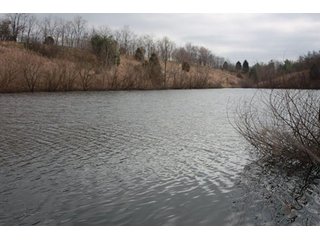 Tract 1 - REAL ESTATE, LAND & EQUIPMENT AUCTION, ABSOLUTE 204+/- Acres Turkey Operation