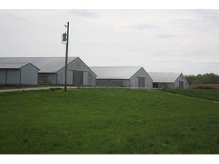 Tract 1 - REAL ESTATE, LAND & EQUIPMENT AUCTION, ABSOLUTE 204+/- Acres Turkey Operation