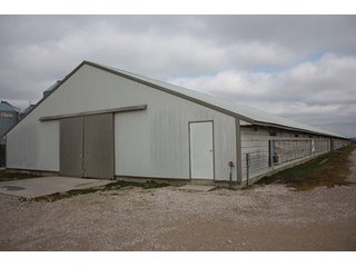 Tract 2 - REAL ESTATE, LAND & EQUIPMENT AUCTION, ABSOLUTE 204+/- Acres Turkey Operation