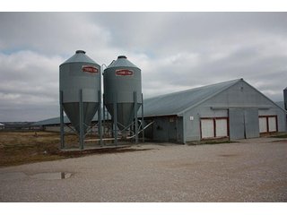 Tract 2 - REAL ESTATE, LAND & EQUIPMENT AUCTION, ABSOLUTE 204+/- Acres Turkey Operation