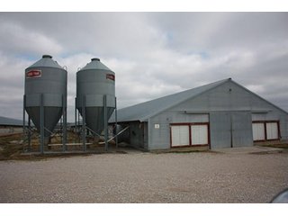 Tract 2 - REAL ESTATE, LAND & EQUIPMENT AUCTION, ABSOLUTE 204+/- Acres Turkey Operation