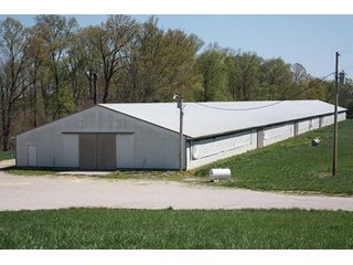 Tract 4 - REAL ESTATE, LAND & EQUIPMENT AUCTION, ABSOLUTE 204+/- Acres Turkey Operation