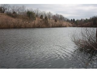 Tract 4 - REAL ESTATE, LAND & EQUIPMENT AUCTION, ABSOLUTE 204+/- Acres Turkey Operation