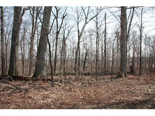 Tract 4 - REAL ESTATE, LAND & EQUIPMENT AUCTION, ABSOLUTE 204+/- Acres Turkey Operation