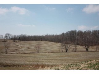 Tract 4 - REAL ESTATE, LAND & EQUIPMENT AUCTION, ABSOLUTE 204+/- Acres Turkey Operation