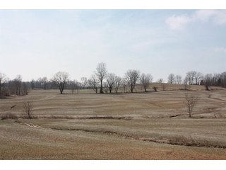Tract 4 - REAL ESTATE, LAND & EQUIPMENT AUCTION, ABSOLUTE 204+/- Acres Turkey Operation