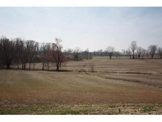 Tract 4 - REAL ESTATE, LAND & EQUIPMENT AUCTION, ABSOLUTE 204+/- Acres Turkey Operation