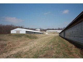 Tract 4 - REAL ESTATE, LAND & EQUIPMENT AUCTION, ABSOLUTE 204+/- Acres Turkey Operation