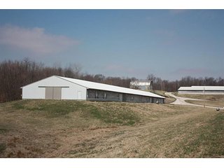 Tract 4 - REAL ESTATE, LAND & EQUIPMENT AUCTION, ABSOLUTE 204+/- Acres Turkey Operation