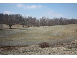 Tract 4 - REAL ESTATE, LAND & EQUIPMENT AUCTION, ABSOLUTE 204+/- Acres Turkey Operation