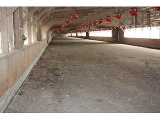 Tract 4 - REAL ESTATE, LAND & EQUIPMENT AUCTION, ABSOLUTE 204+/- Acres Turkey Operation
