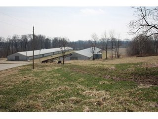 Tract 4 - REAL ESTATE, LAND & EQUIPMENT AUCTION, ABSOLUTE 204+/- Acres Turkey Operation