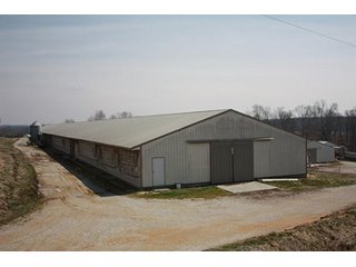 Tract 4 - REAL ESTATE, LAND & EQUIPMENT AUCTION, ABSOLUTE 204+/- Acres Turkey Operation