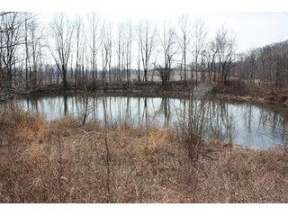 Tract 4 - REAL ESTATE, LAND & EQUIPMENT AUCTION, ABSOLUTE 204+/- Acres Turkey Operation