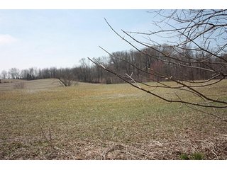 Tract 4 - REAL ESTATE, LAND & EQUIPMENT AUCTION, ABSOLUTE 204+/- Acres Turkey Operation
