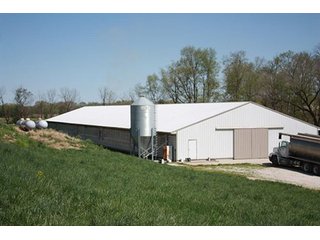 Tract 4 - REAL ESTATE, LAND & EQUIPMENT AUCTION, ABSOLUTE 204+/- Acres Turkey Operation