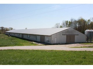 Tract 4 - REAL ESTATE, LAND & EQUIPMENT AUCTION, ABSOLUTE 204+/- Acres Turkey Operation