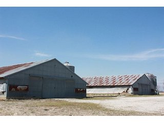 Tract 5 - REAL ESTATE, LAND & EQUIPMENT AUCTION, ABSOLUTE 204+/- Acres Turkey Operation
