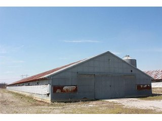 Tract 5 - REAL ESTATE, LAND & EQUIPMENT AUCTION, ABSOLUTE 204+/- Acres Turkey Operation