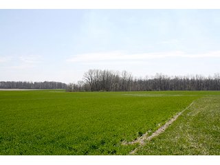 Property photo 6 - LAND AUCTION, 32+/- Acres offered in 2 Tracts