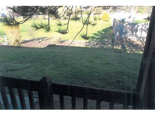 Property photo 4 - REAL ESTATE AUCTION, Beautiful 3 Bedroom, 2 Bath Home w/2 Car Garage