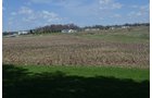 Property photo 12 - REAL ESTATE & LAND AUCTION, 18.7+/- Acres offered in 2 Tracts or Combination!