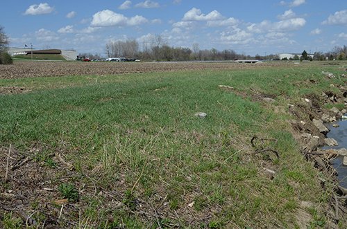 Property photo 14 - REAL ESTATE & LAND AUCTION, 18.7+/- Acres offered in 2 Tracts or Combination!