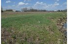 Property photo 14 - REAL ESTATE & LAND AUCTION, 18.7+/- Acres offered in 2 Tracts or Combination!