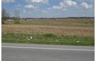 Property photo 11 - REAL ESTATE & LAND AUCTION, 18.7+/- Acres offered in 2 Tracts or Combination!