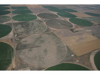 Tracts 1-5 - FARMLAND AUCTION, 2,752 Acres offered in 8 Tracts
