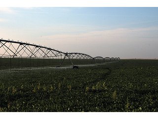 Property photo 28 - FARMLAND AUCTION, 2,752 Acres offered in 8 Tracts