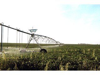 Property photo 48 - FARMLAND AUCTION, 2,752 Acres offered in 8 Tracts