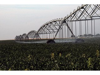 Property photo 25 - FARMLAND AUCTION, 2,752 Acres offered in 8 Tracts
