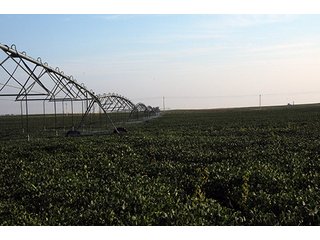 Property photo 55 - FARMLAND AUCTION, 2,752 Acres offered in 8 Tracts