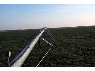 Property photo 15 - FARMLAND AUCTION, 2,752 Acres offered in 8 Tracts