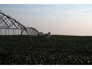 Property photo 58 - FARMLAND AUCTION, 2,752 Acres offered in 8 Tracts