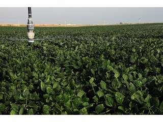 Property photo 51 - FARMLAND AUCTION, 2,752 Acres offered in 8 Tracts