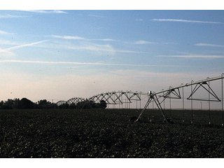 Property photo 54 - FARMLAND AUCTION, 2,752 Acres offered in 8 Tracts