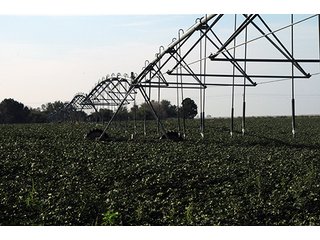 Property photo 27 - FARMLAND AUCTION, 2,752 Acres offered in 8 Tracts