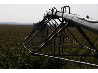 Property photo 43 - FARMLAND AUCTION, 2,752 Acres offered in 8 Tracts